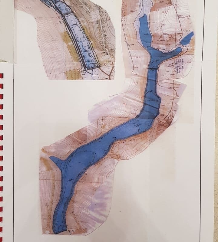 Спільне вирощування коропа  твостолоба  амура