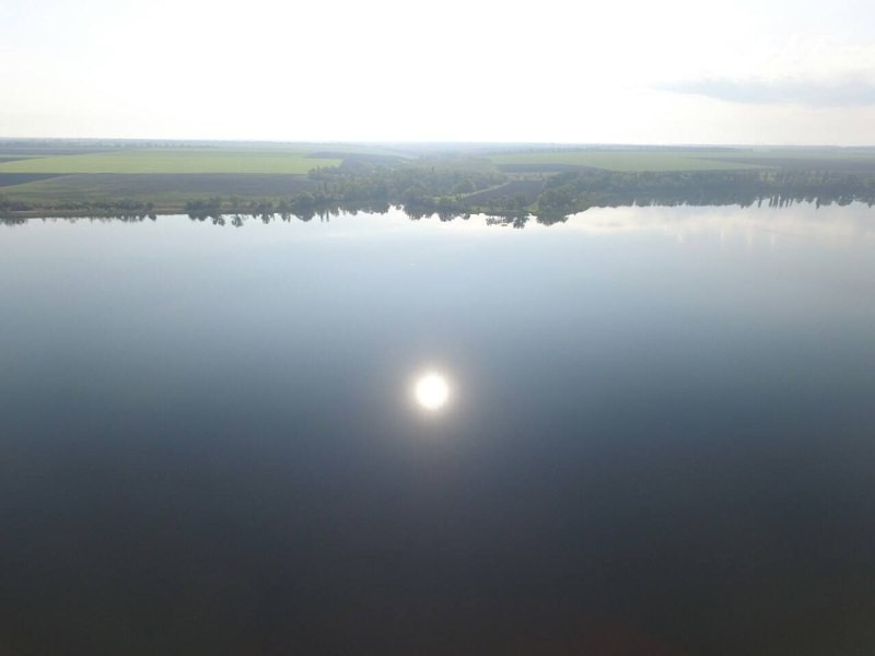 Спільне вирощування коропа  твостолоба  амура