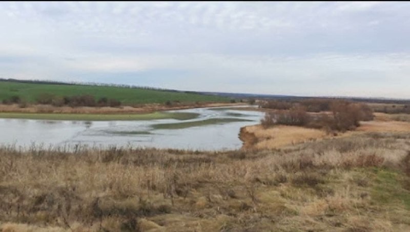 Спільне вирощування коропа  твостолоба  амура