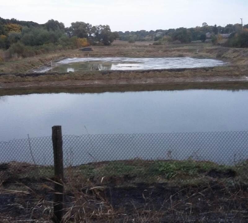 Спільне вирощування коропа  товстолоба  амура