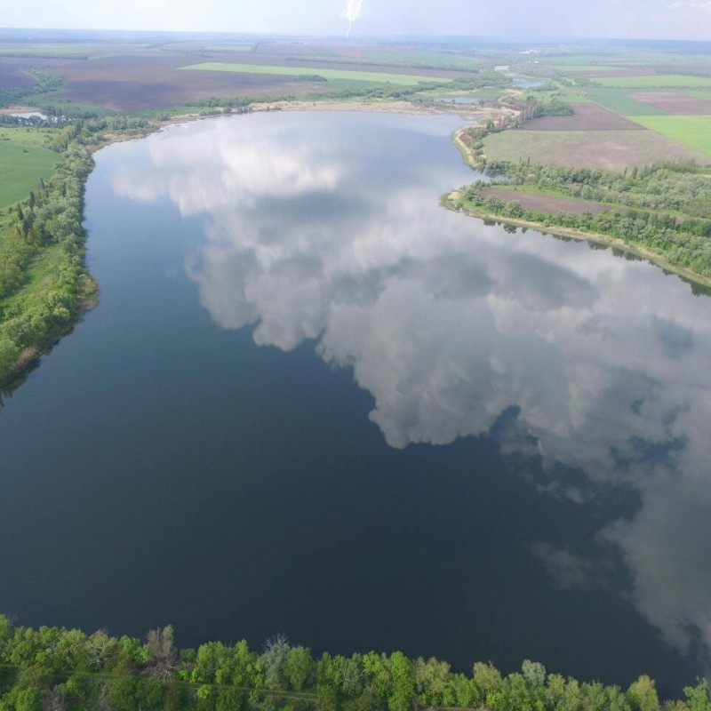 Спільне вирощування коропа  твостолоба  амура