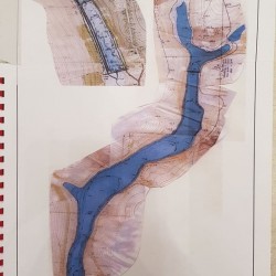 Спільне вирощування коропа  твостолоба  амура